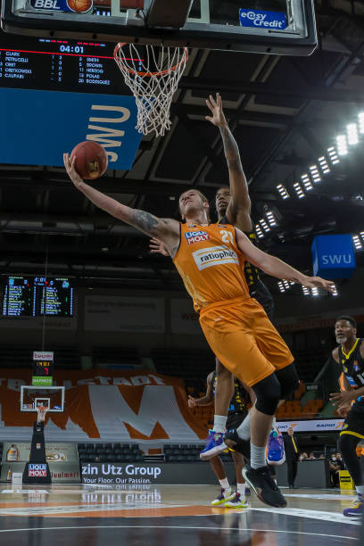 子悄然发芽 子悄然发芽